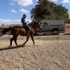 canario2468ftv