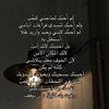 moonlight_20_1