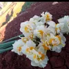 user5i1l5769ok
