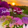 waled..977