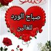 user5134676156885