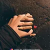 fusvn