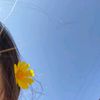 ruano_17of