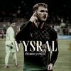 chtoonvysral.cc