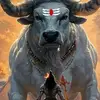 kailashavaashinikamala