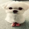 moonniloo