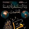 user4331060232252