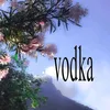 nozomi_404
