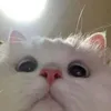 r.reiiyah