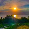 Naturephotovideography