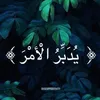 wafamajid86