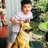 binquang8