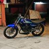 pawonrace_24