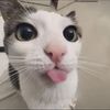 oannawww