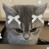 i_love_cats205