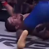 kameni1e