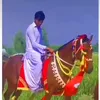 kaswardasti2