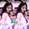 ist_zinnyy
