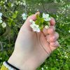 aryamahmed14