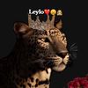 adno_isse
