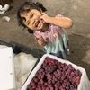 Buah Hilma