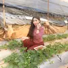 dethuong2904