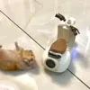 kaisenhhn