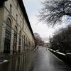 sheki_vetenim