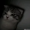 mysteriou_guy123