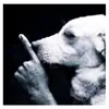 maximoo.12