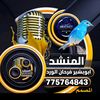 abo_basher.21775764843