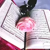 x7fe72