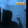 moo_shaban_1