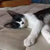 jere_fz