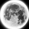 _mir_12_07
