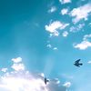 toota_807
