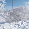 user1230120950544