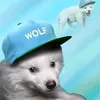 .d1zz3d
