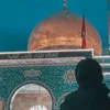 _9nawaar