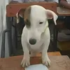 hihihahahehehh