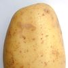 potatosophy