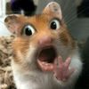 vhiolaaalatee