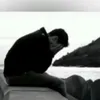 userxei4a96v0u