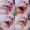 anisoabdiahmed0