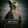 onebird356