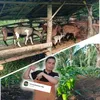Farming Business Atbp