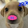 huyen64645656