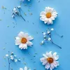 khadija.afou