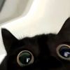 kangnoeul__