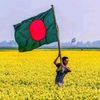 Saiful Islam Rakin🇧🇩